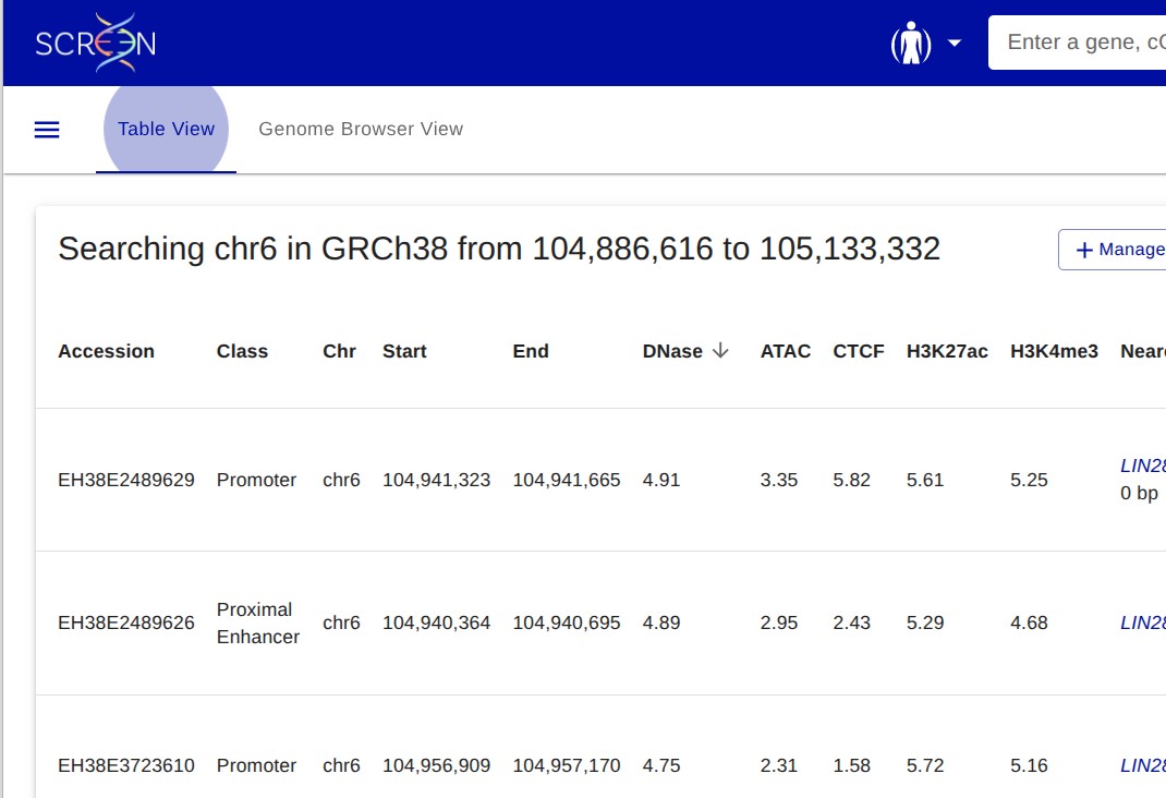ENCODE SCREEN database results table showing candidate cis-regulatory elements on chromosome 6 near LIN28B.